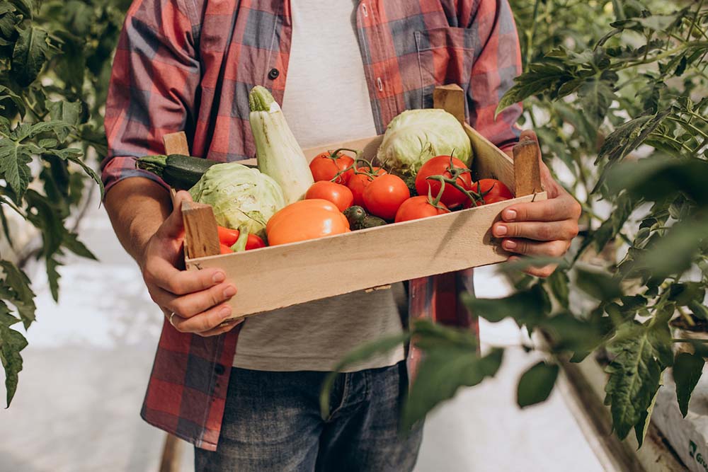alimentazione2.jpg