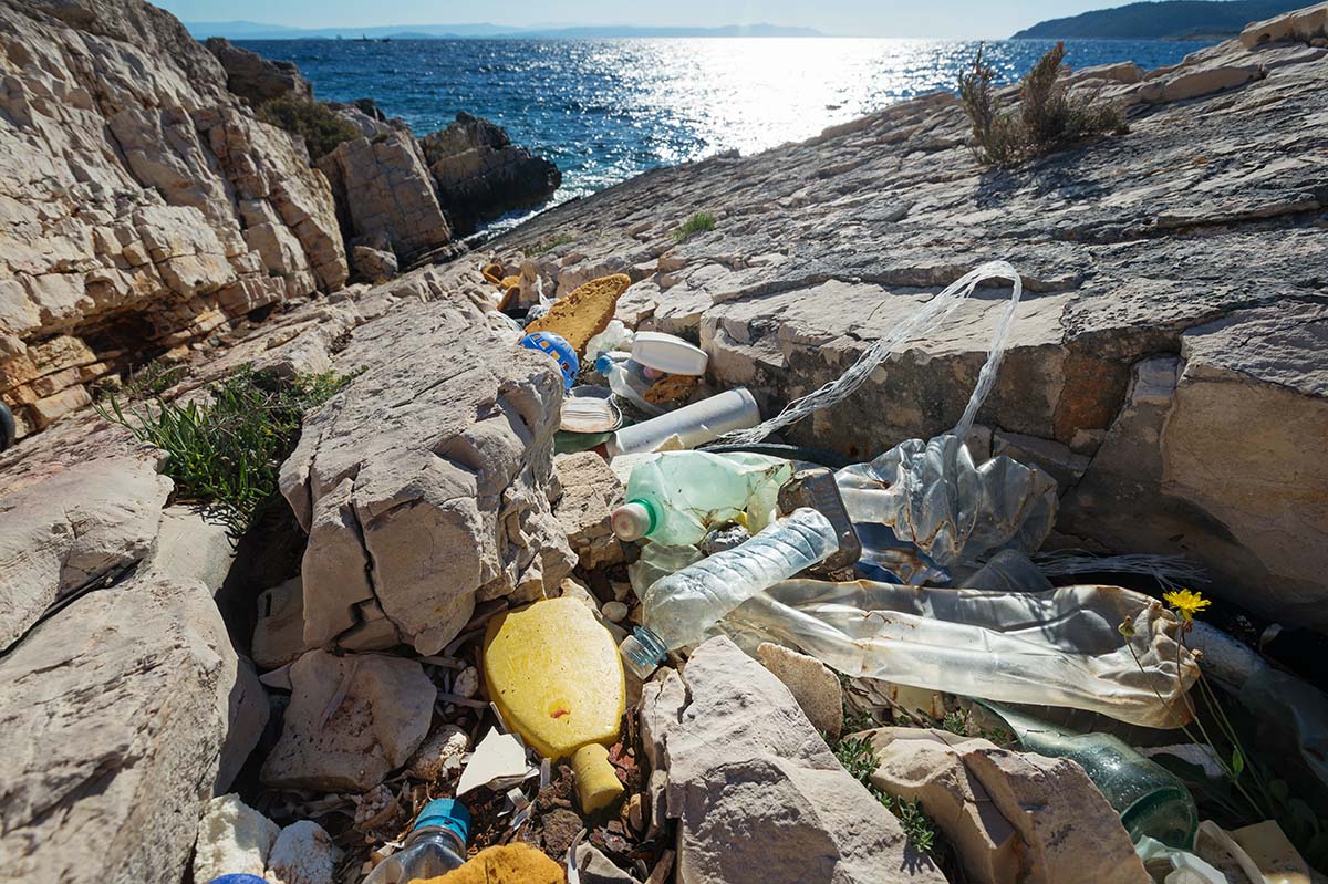 mediterraneo3.jpg